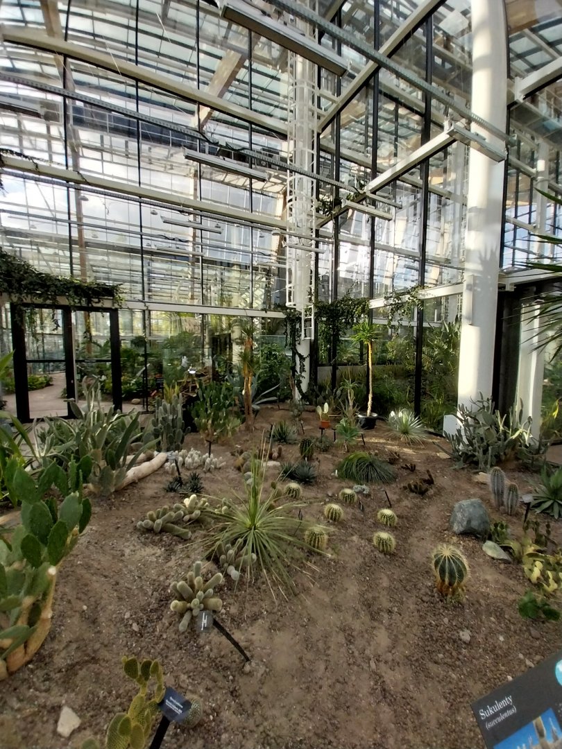 Egzotarium Sosnowiec - Desert Greenhouse