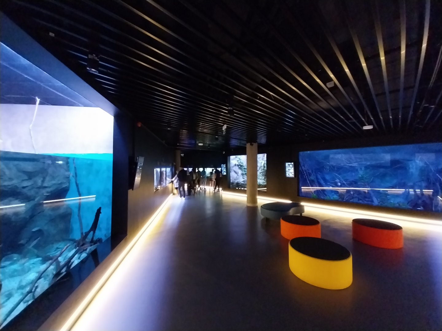 Egzotarium Sosnowiec - General view