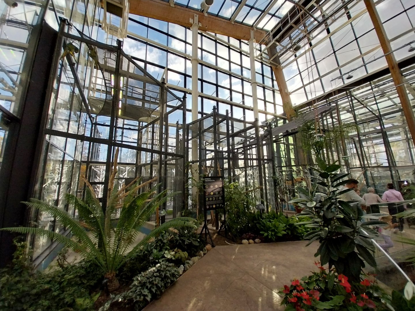 Egzotarium Sosnowiec - Mediterranean Greenhouse - Bird aviaries