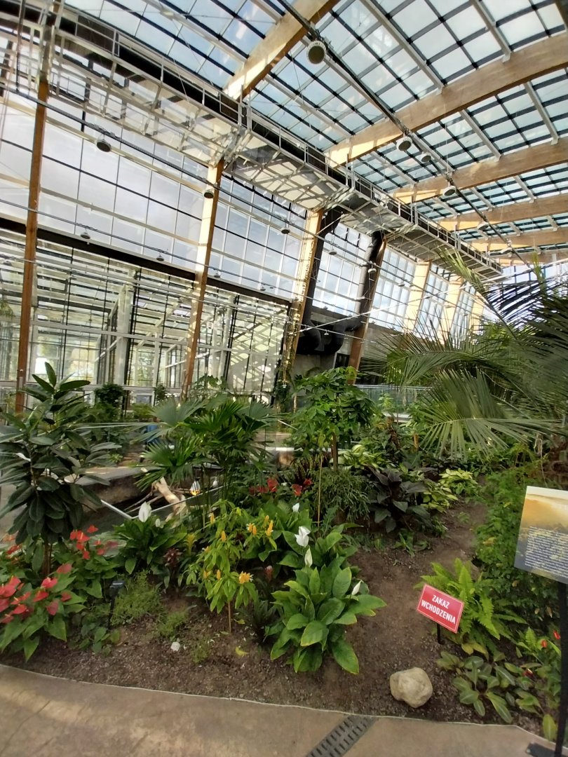 Egzotarium Sosnowiec - Mediterranean Greenhouse