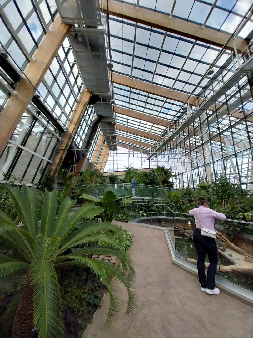 Egzotarium Sosnowiec - Mediterranean Greenhouse