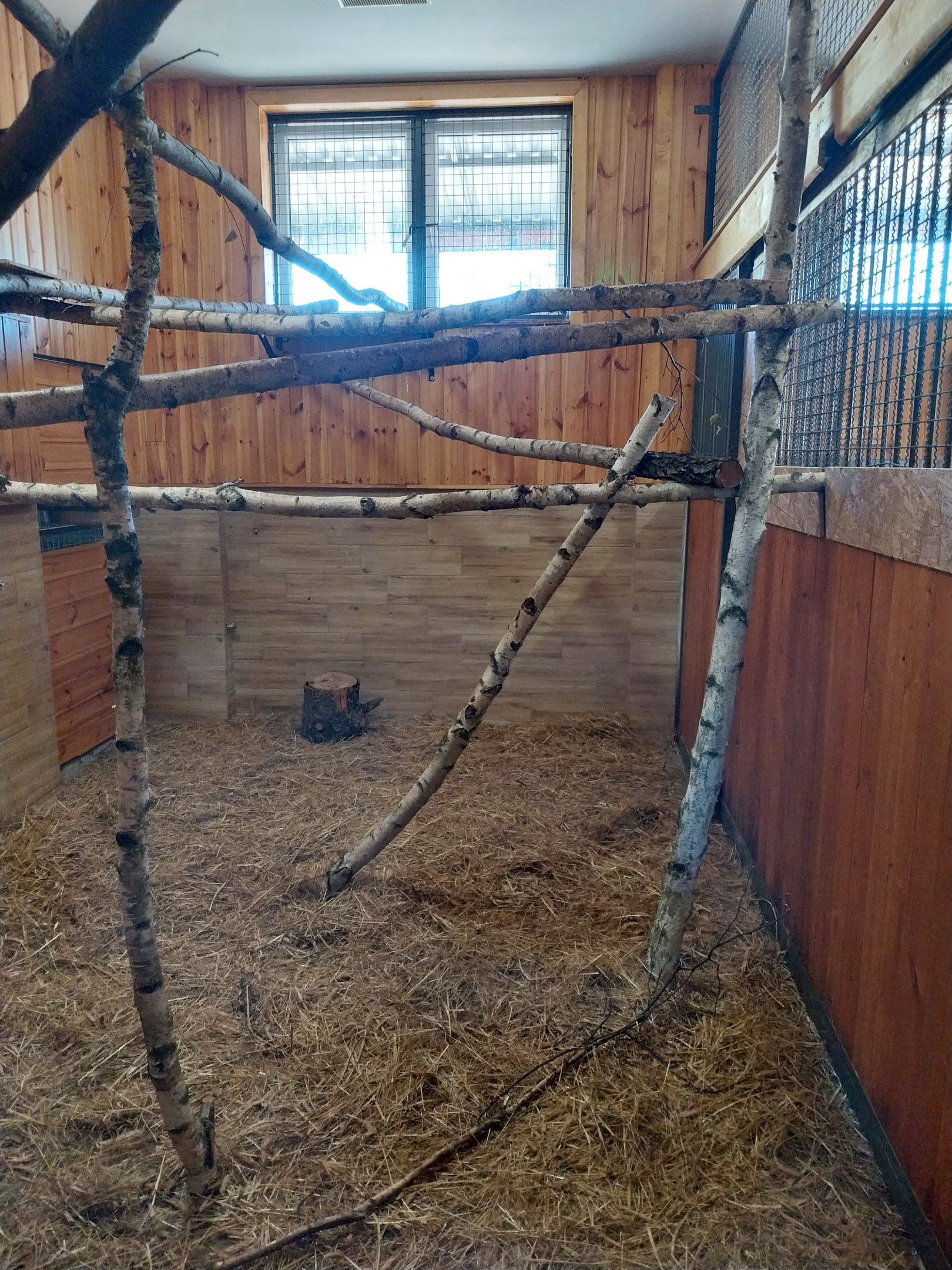 Egzotarium - Sykes Guenon - Second enclosure