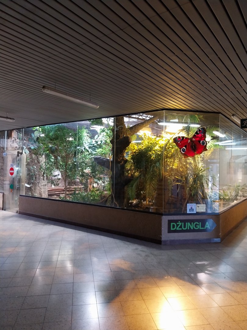 Egzotarium - Walk-through exhibit
