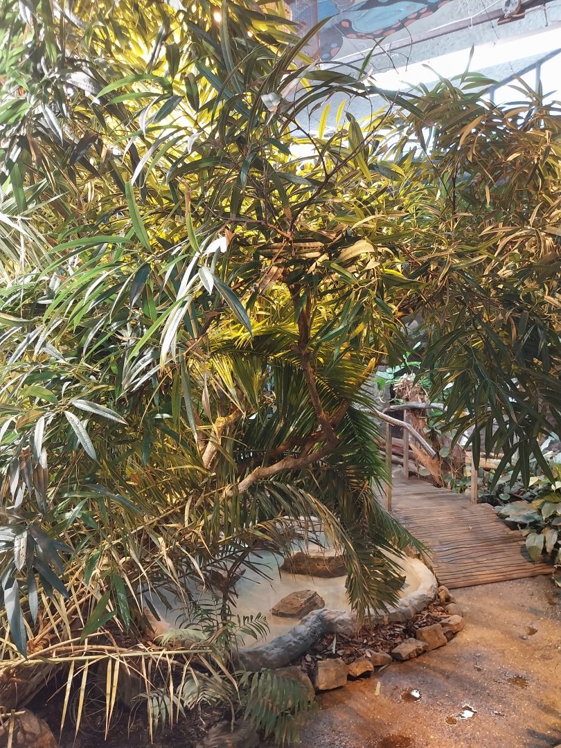 Egzotarium - Walk-through exhibit