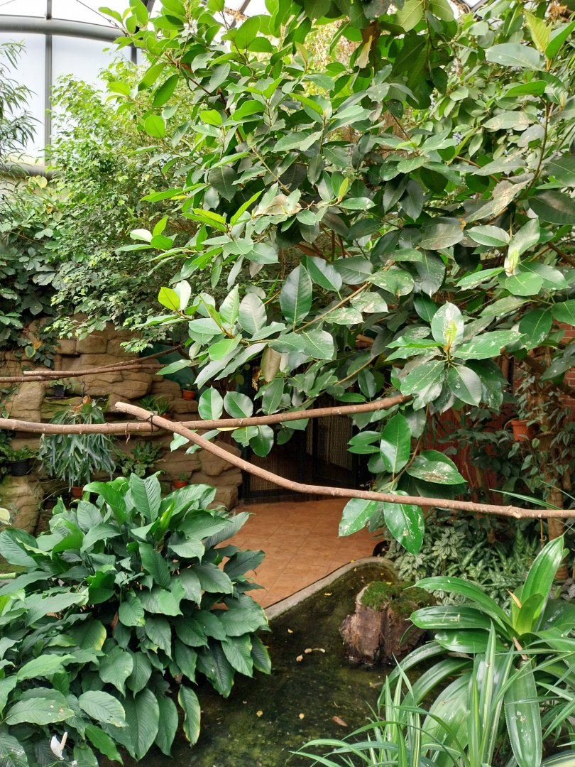 Egzotarium - Walk-through Rainforest