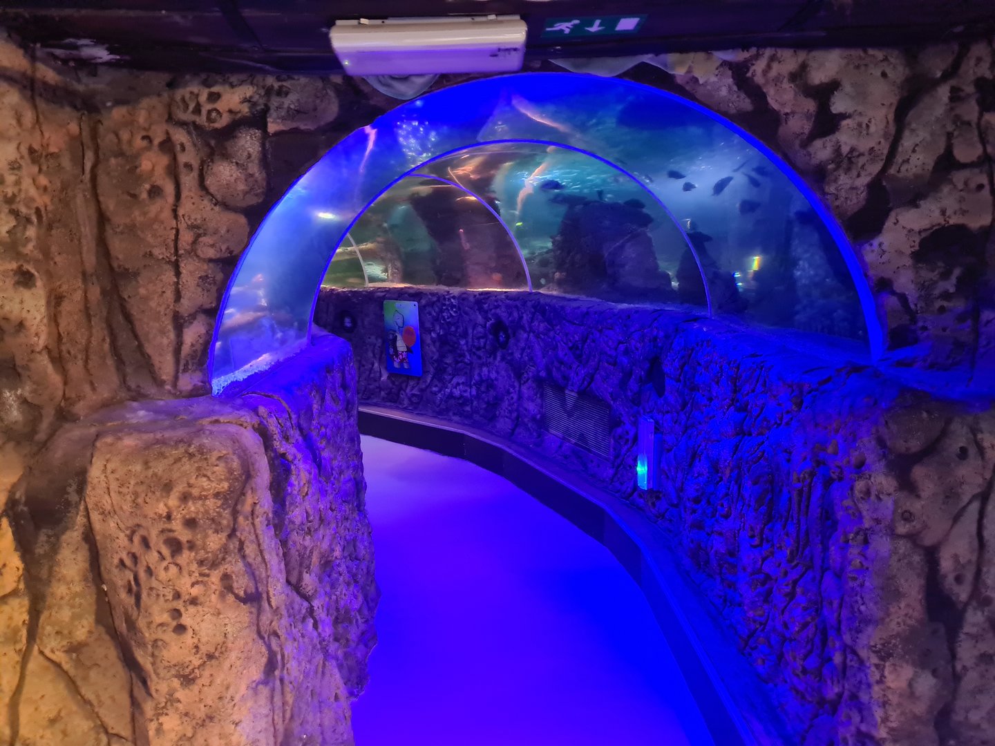 Eighth (final) room - Tunnel