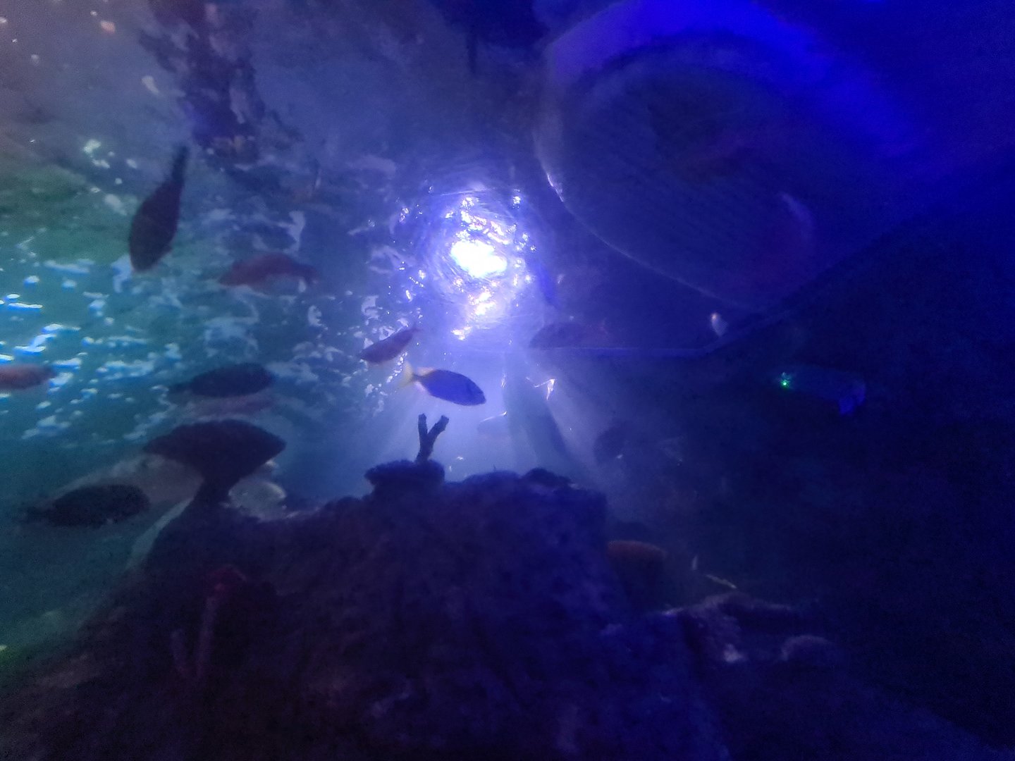 Eighth (final) room - View from tunnel