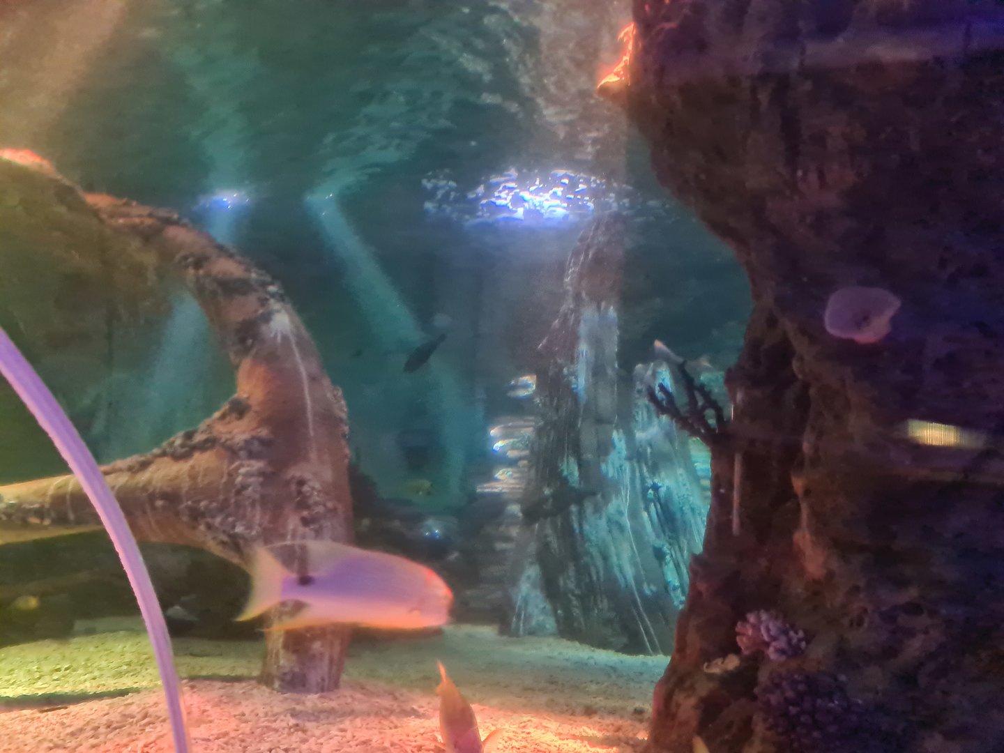 Eighth (final) room - View from tunnel