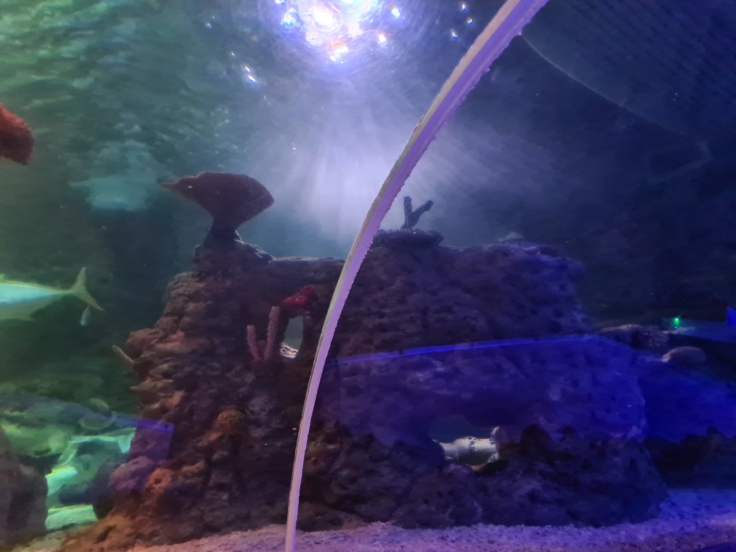 Eighth (final) room - View from tunnel