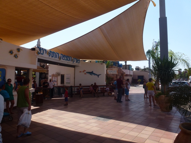 Eilat Underwater Observatory Marine Park 13.10.12