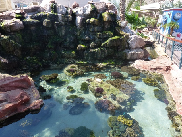 Eilat Underwater Observatory Marine Park 13.10.12