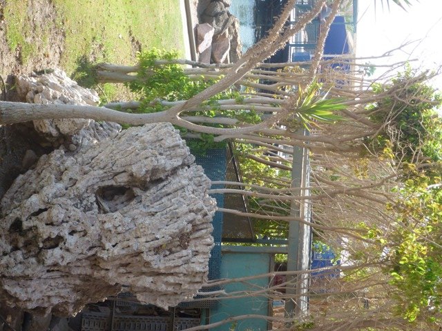 Eilat Underwater Observatory Marine Park 13.10.12