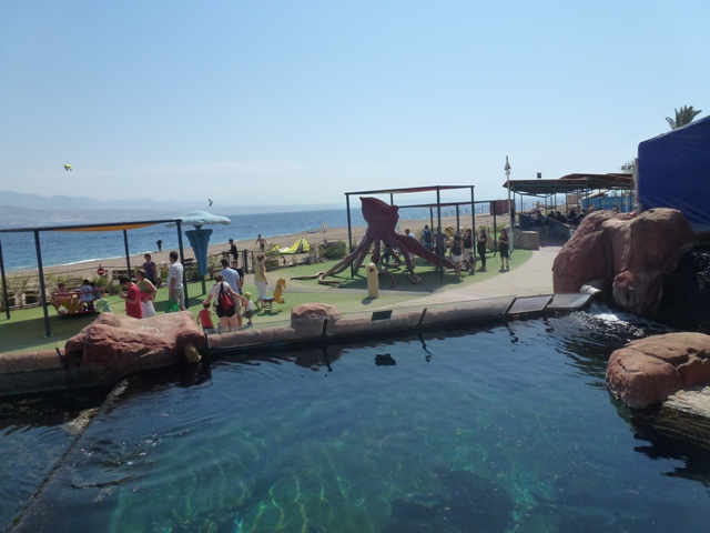 Eilat Underwater Observatory Marine Park 13.10.12