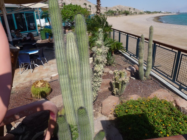 Eilat Underwater Observatory Marine Park 13.10.12