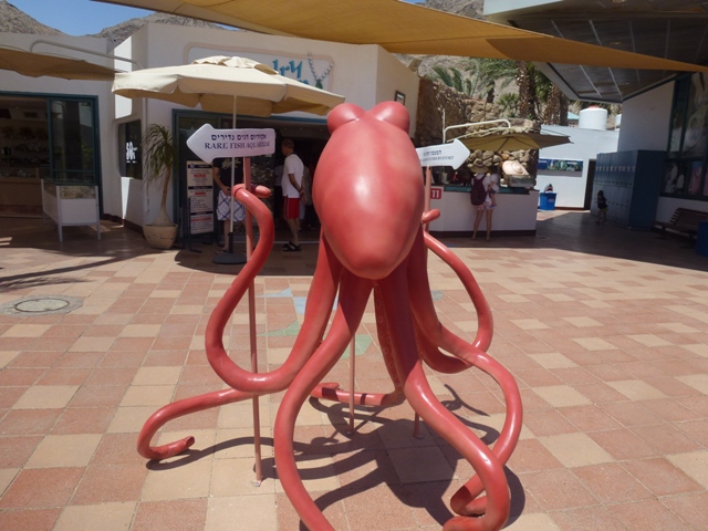 Eilat Underwater Observatory Marine Park 24.4.13