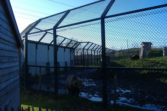 Eindhoven bear house