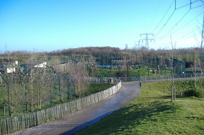 Eindhovern Bear Enclosures