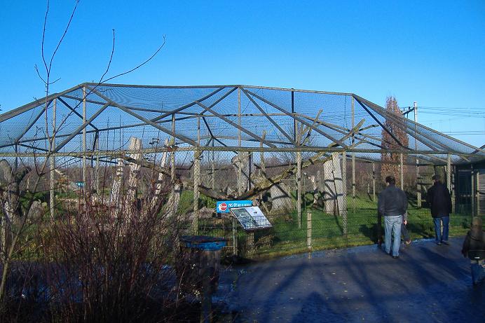 Eindhovern Lynx cage