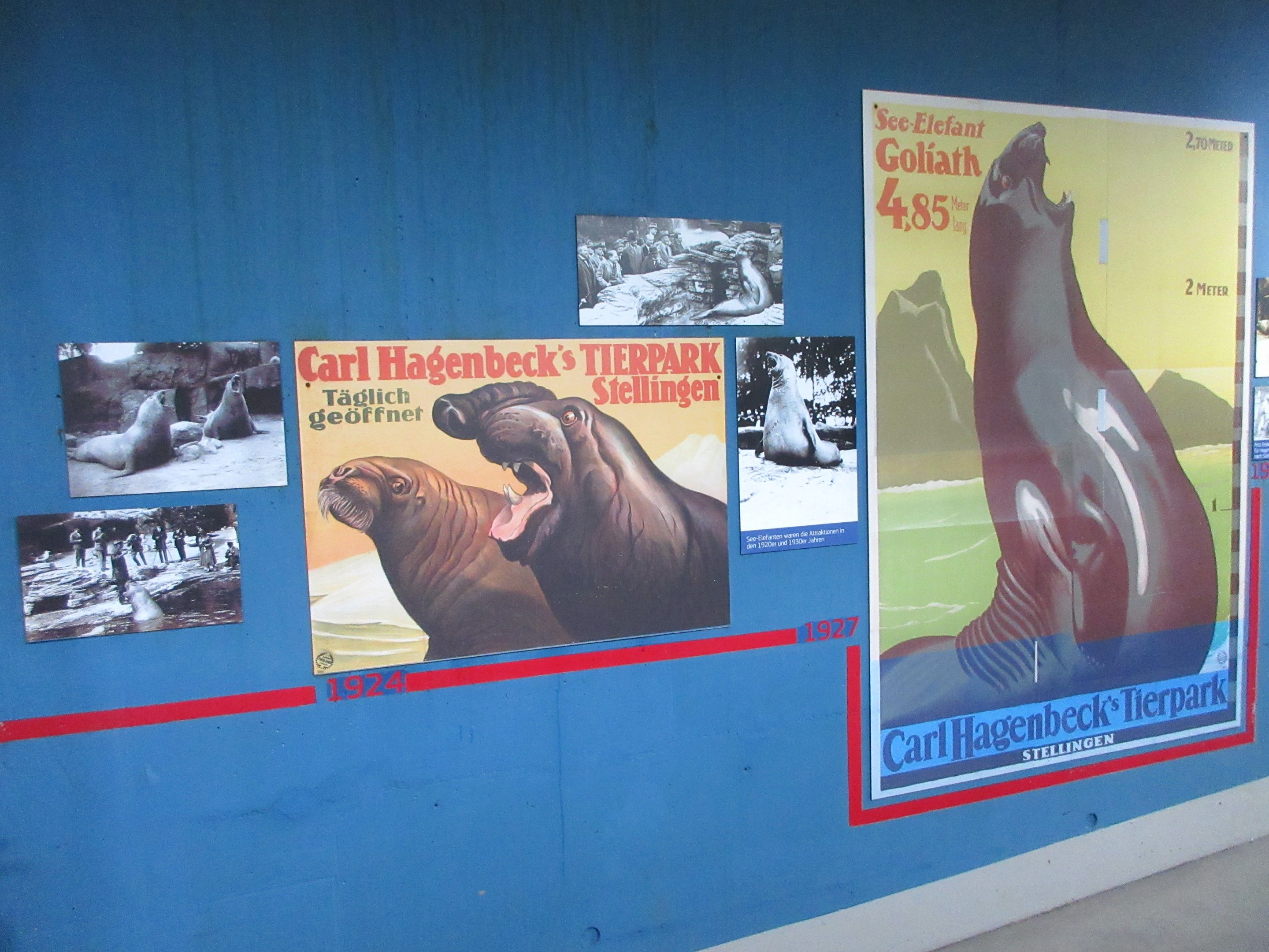 Eismeer - Historical Posters