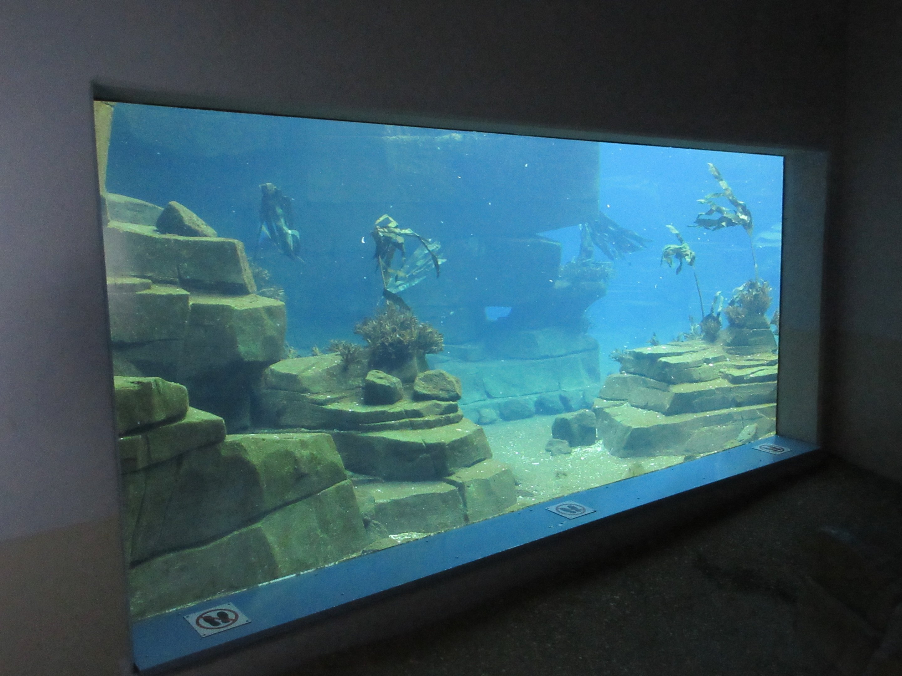 Eismeer - Humboldt Penguin Exhibit