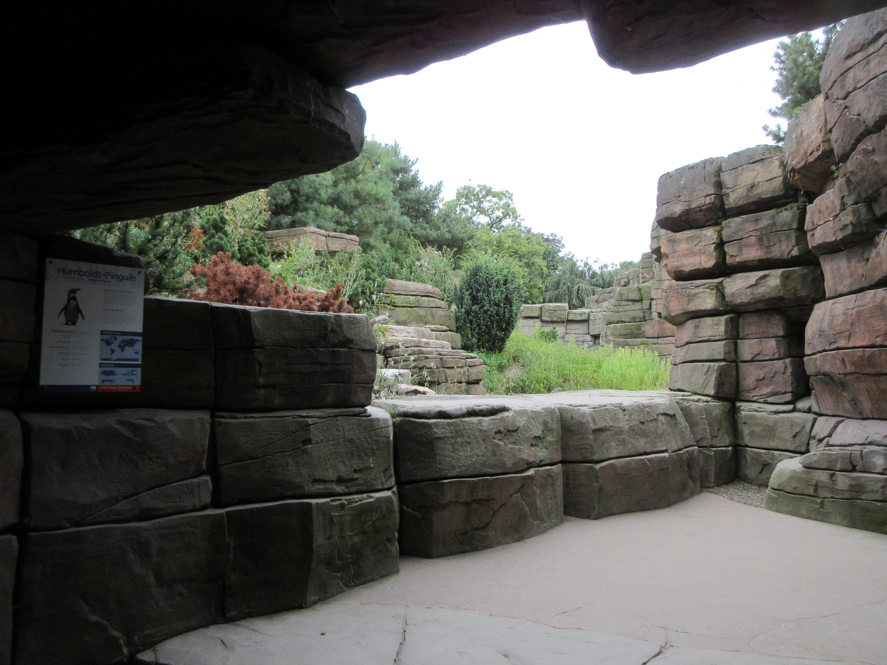 Eismeer - Humboldt Penguin Exhibit