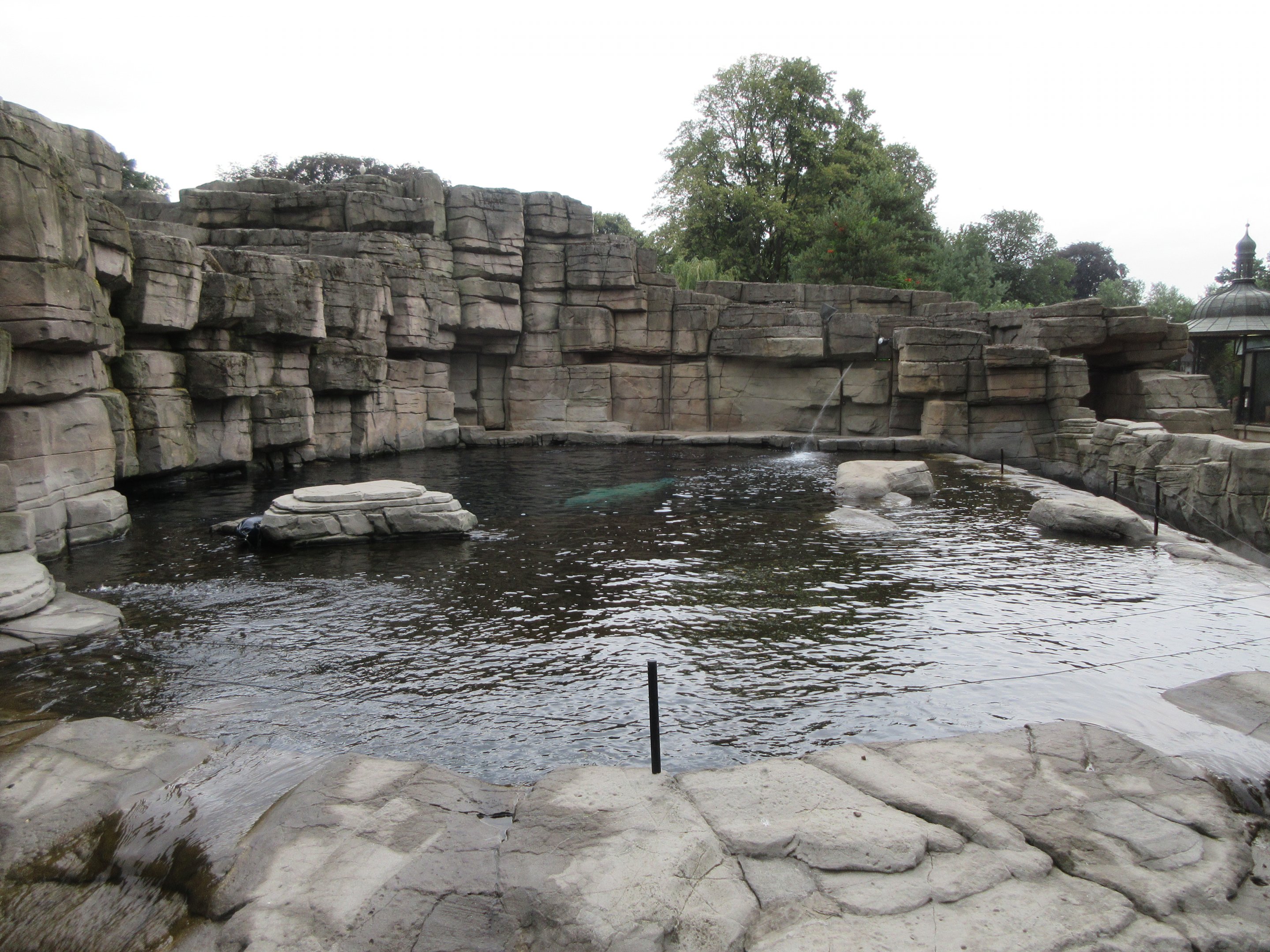 Eismeer - Pacific Walrus Exhibit #3