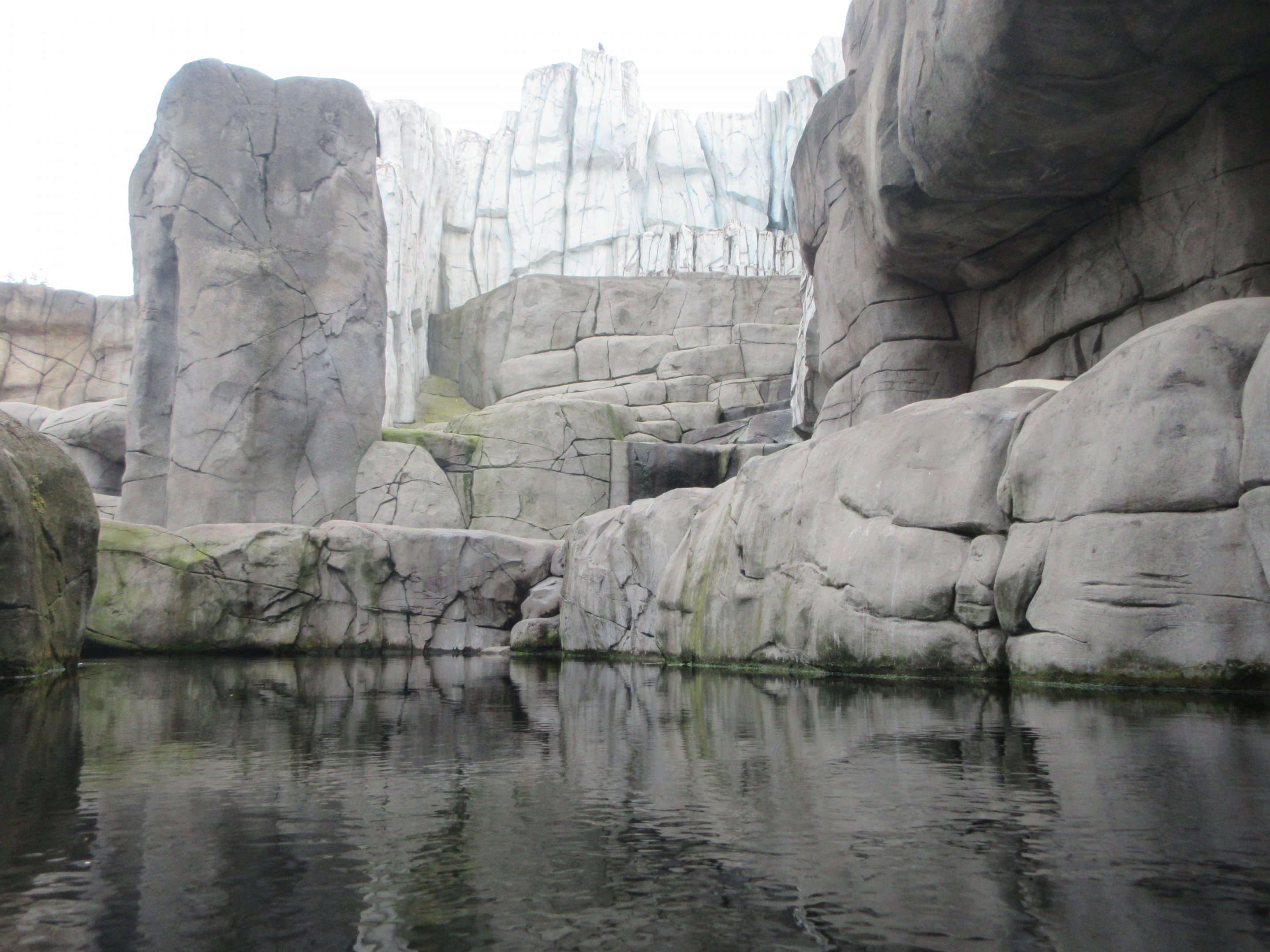 Eismeer - Polar Bear Exhibit