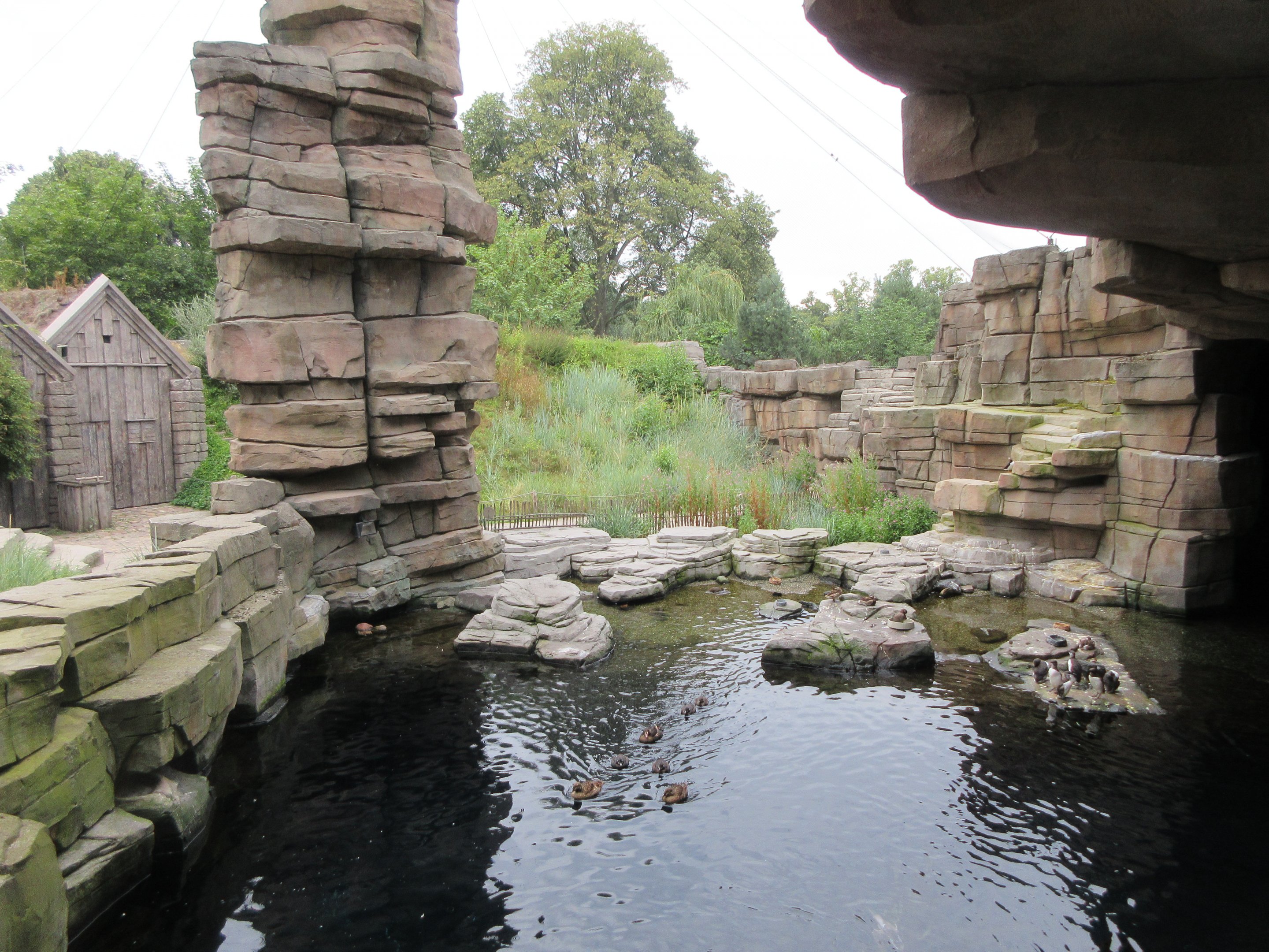 Eismeer - Seabird Aviary