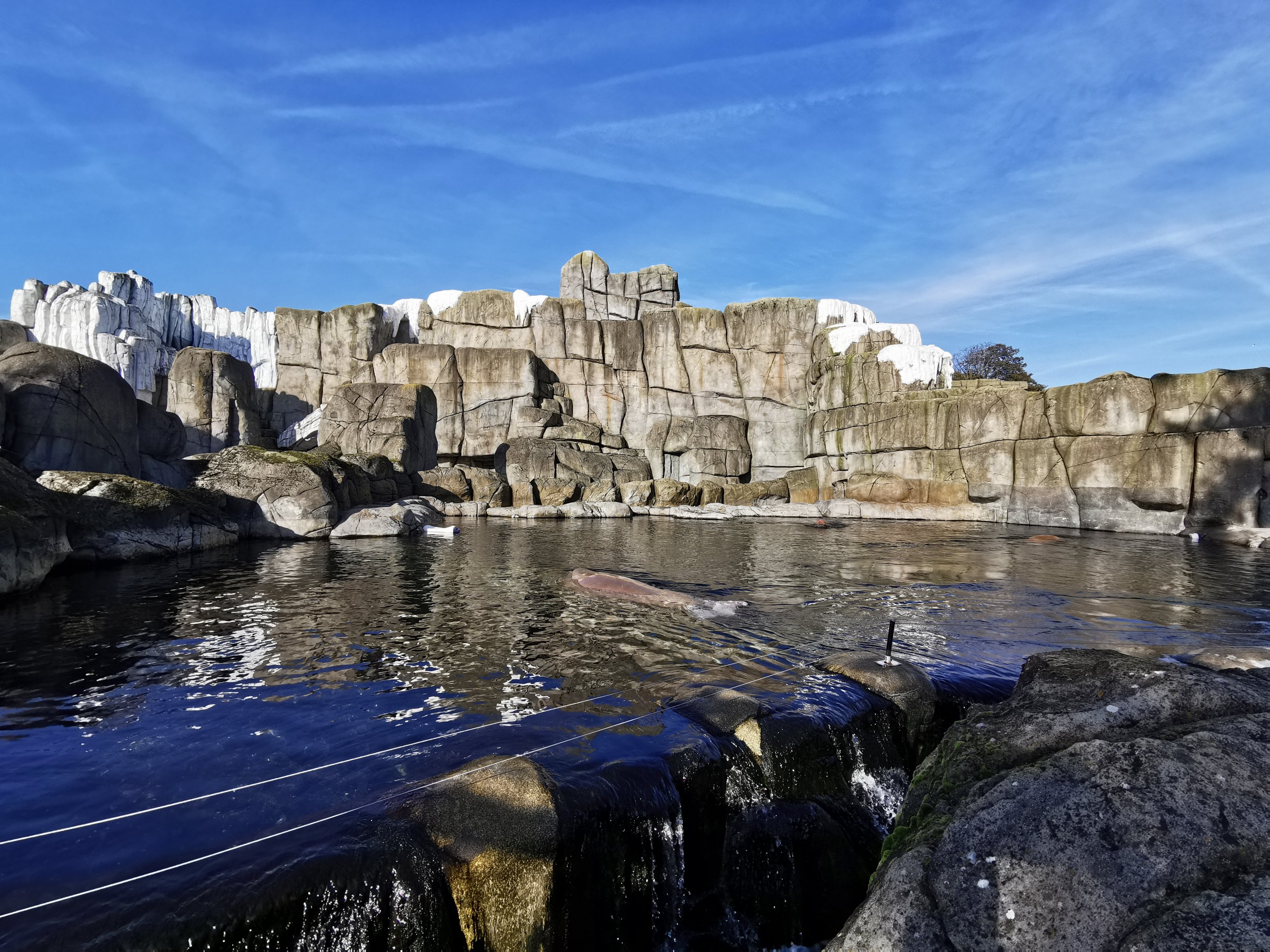 Eismeer - Tierpark Hagenbeck