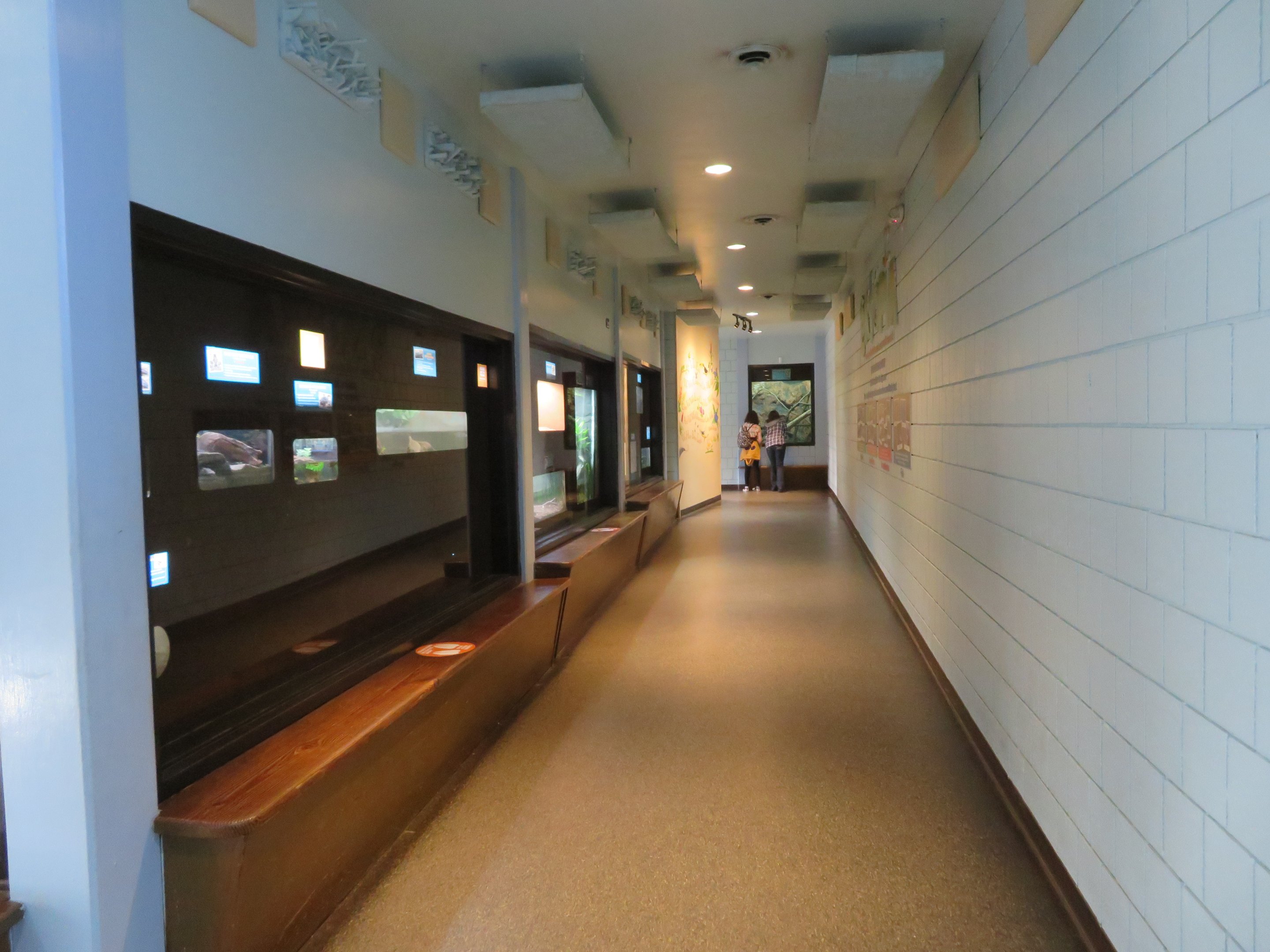 Ektopia (Herp House)