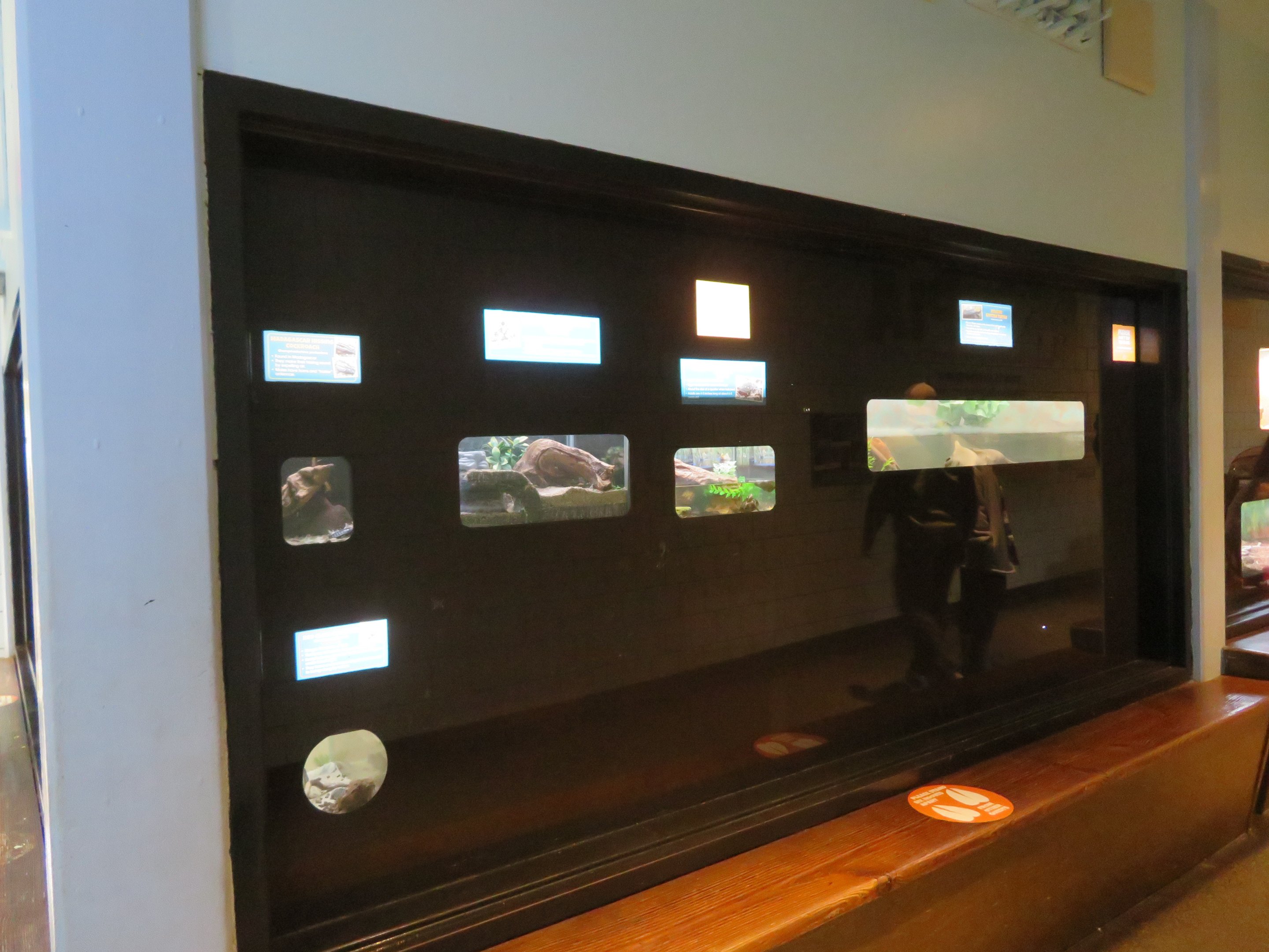 Ektopia (Herp House)