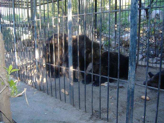 El Arche rescue centre 1