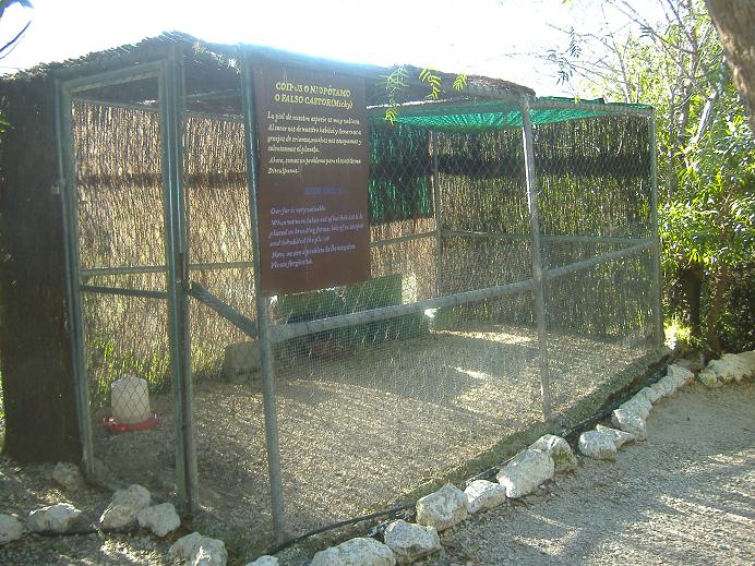 El Arche rescue centre coypu enclosure