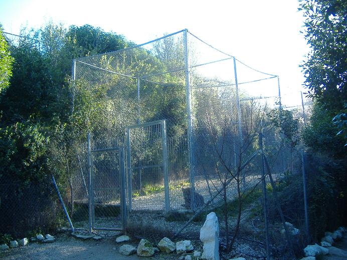El Arche rescue centre Jaguar cage