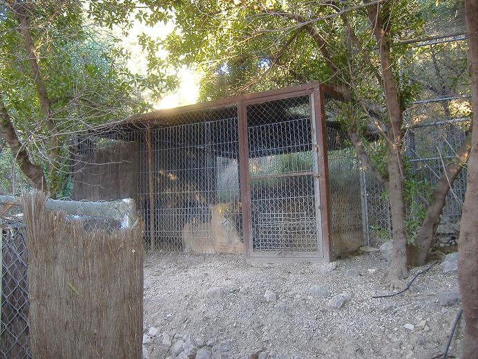 El Arche rescue centre liger