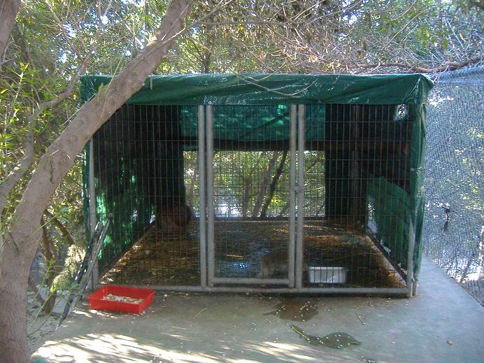 El Arche rescue centre macaque cage