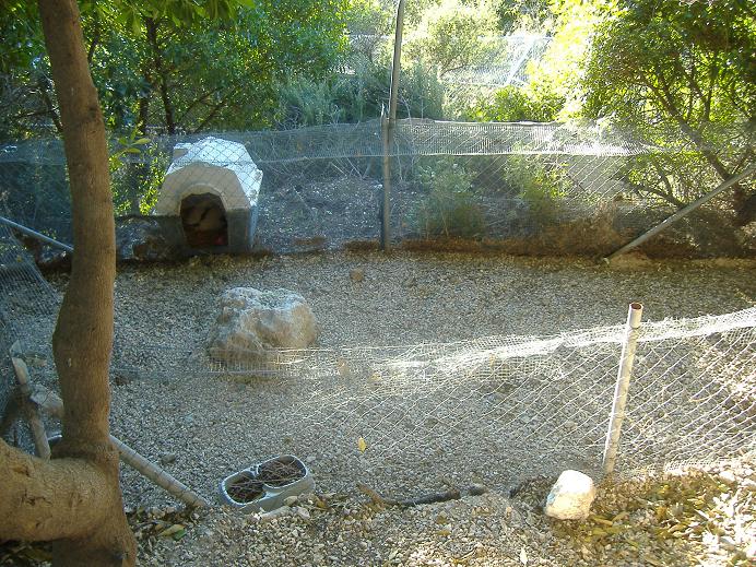 El Arche rescue centre skunk enclosure