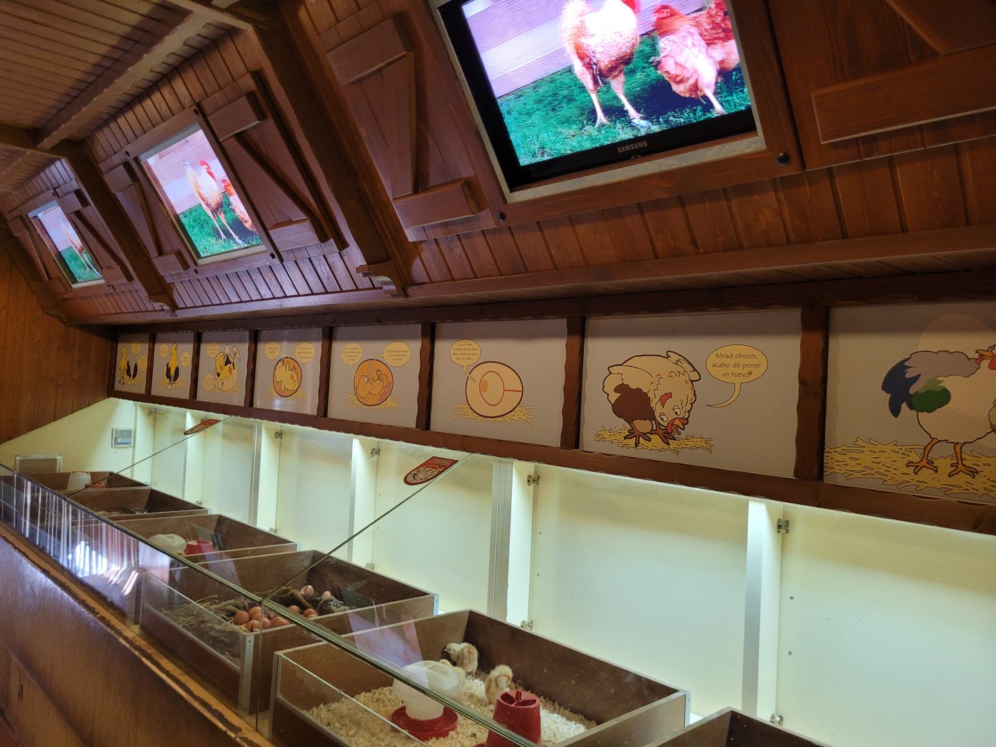 "El ciclo del Huevo" -Sendaviva (2024)