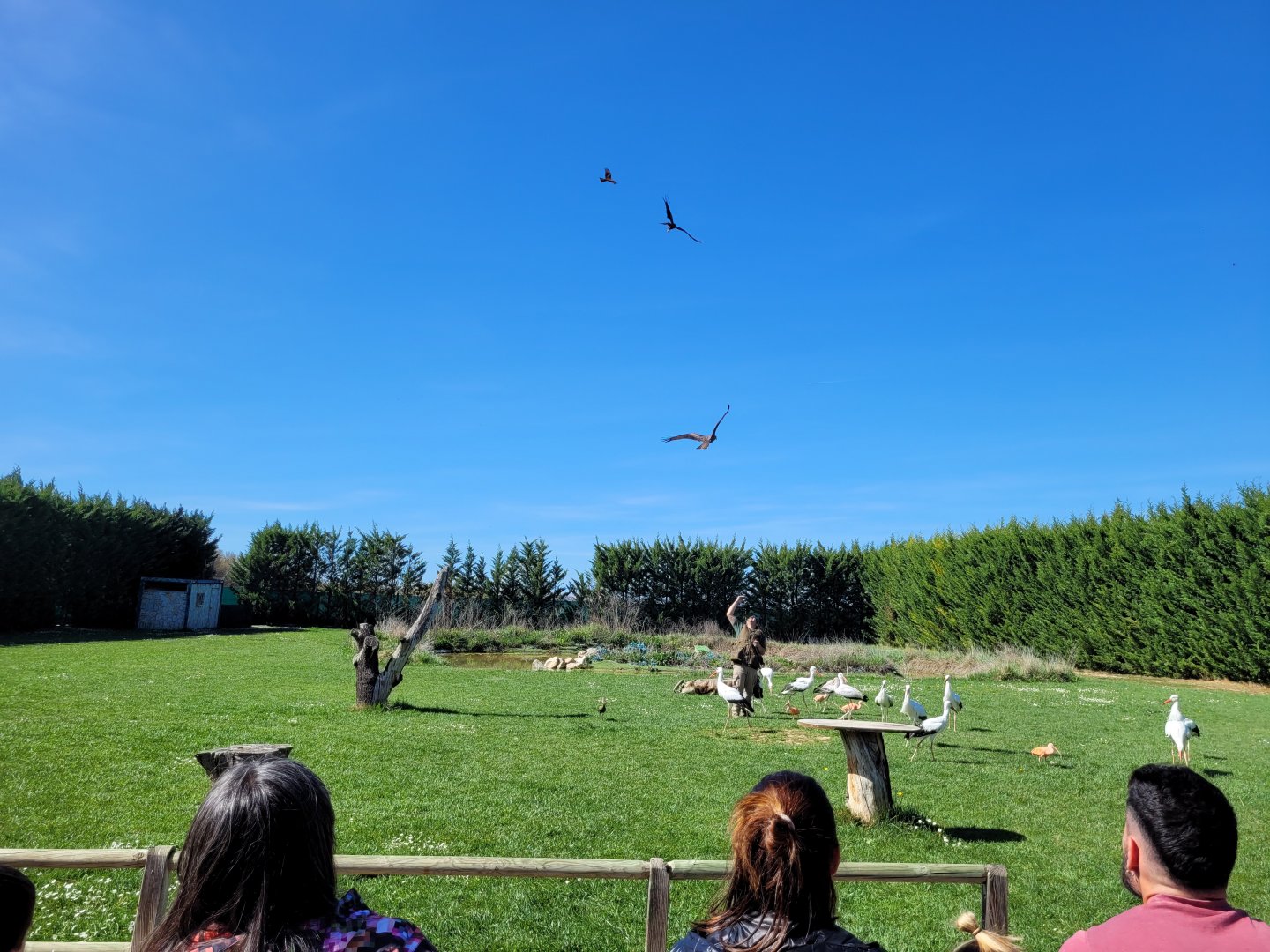 "El Lago del Tiempo" final act -Tierra Rapaz (2024)