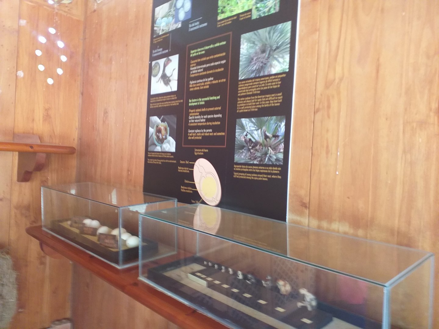 "El Nido" -TerraNatura Benidorm (2021)