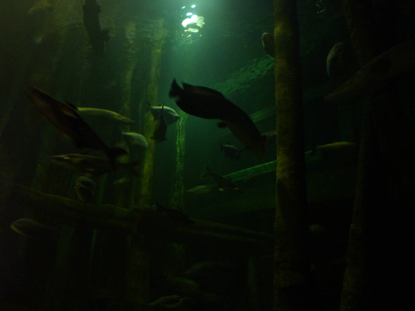 El Rio Del Mundo, 10th April 2012