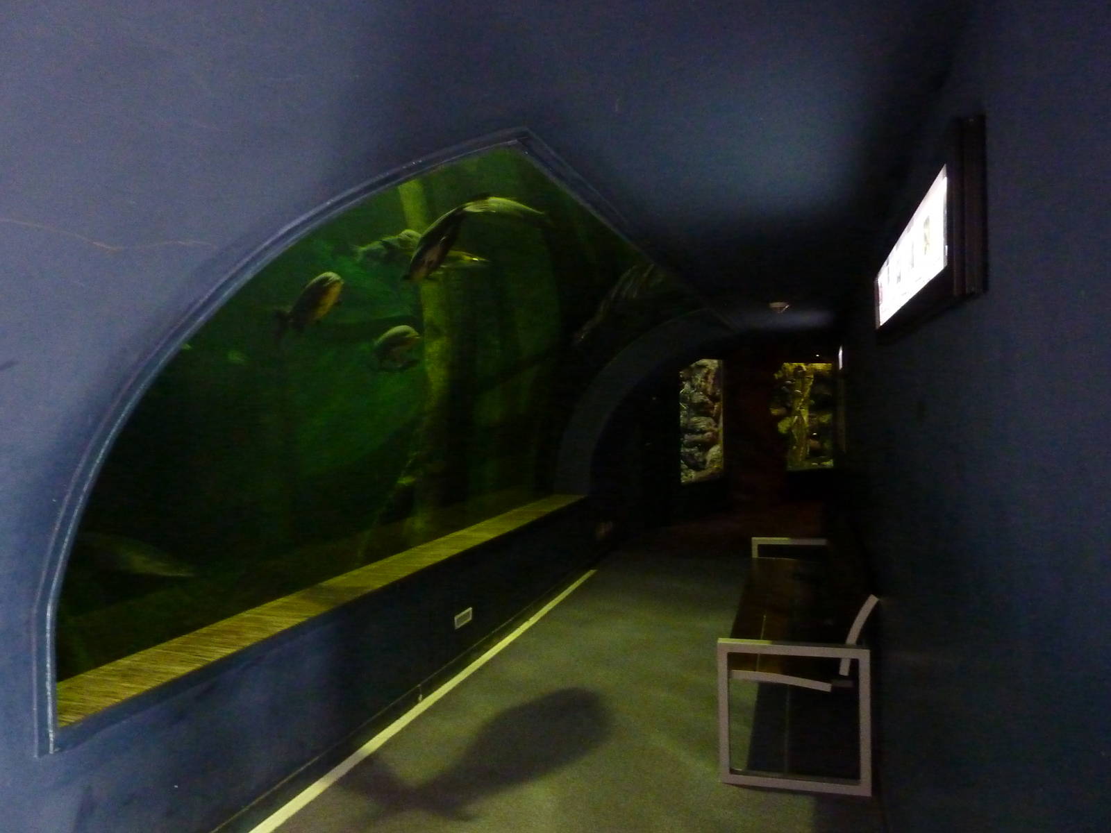 El Rio Del Mundo, 10th April 2012