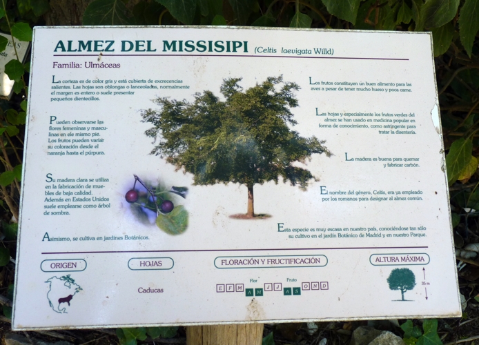 Elaborated and very good botanical signage