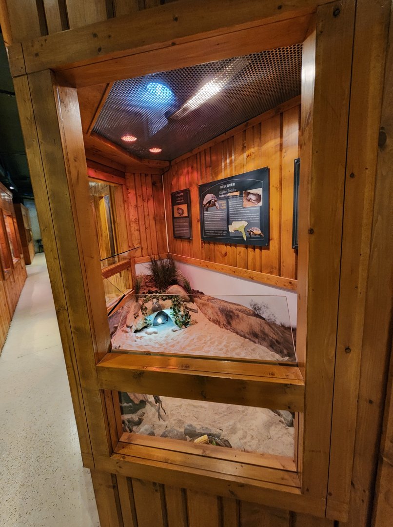 Elachee Nature Science Center - Gopher Tortoise exhibit