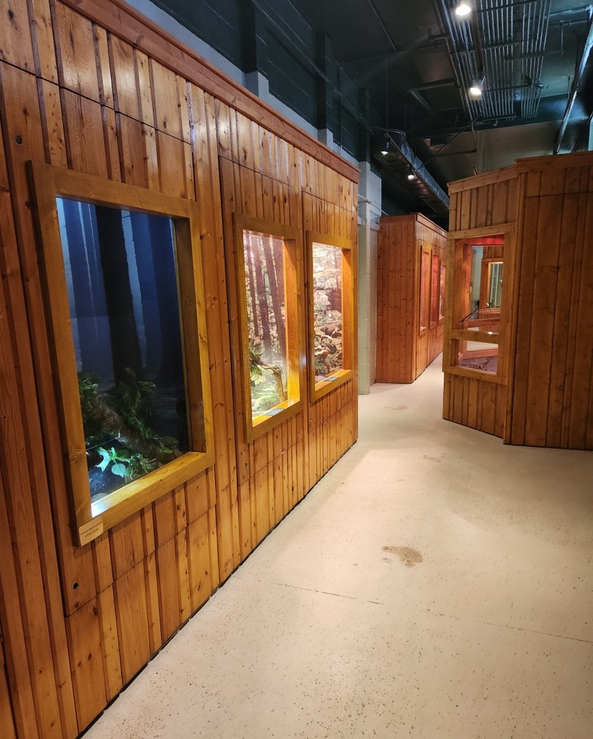 Elachee Nature Science Center - Reptile hall