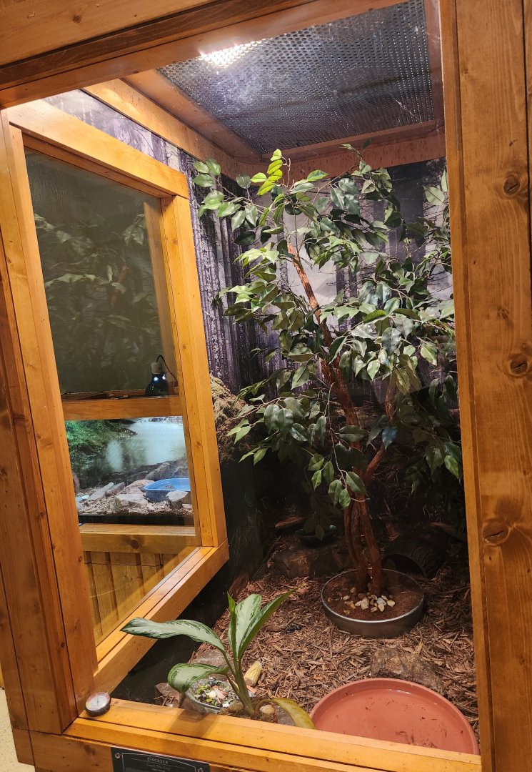 Elachee Nature Science Center - Turtle/Frog exhibit