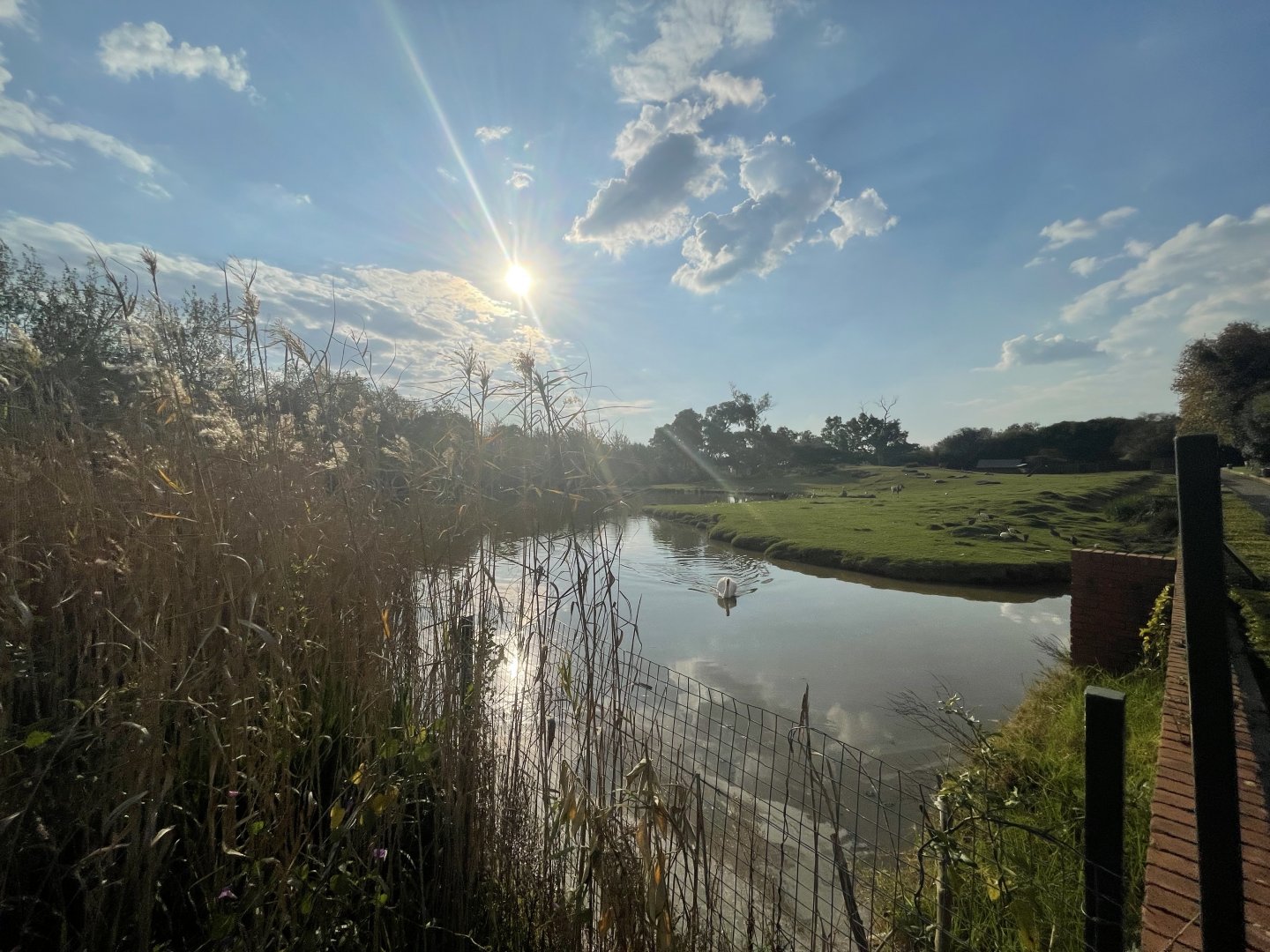 Eland and Waterbuck Enclosure (Taurotragus oryx, Kobus ellipsiprymnus)