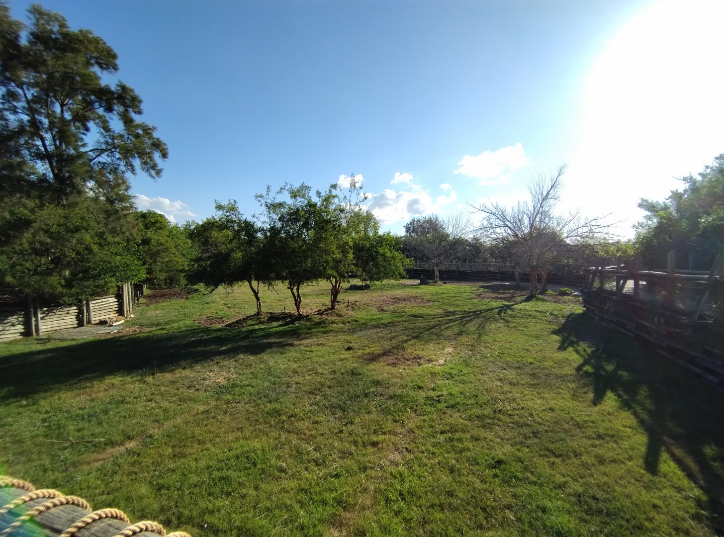 Eland antelope exhibit - Temaiken