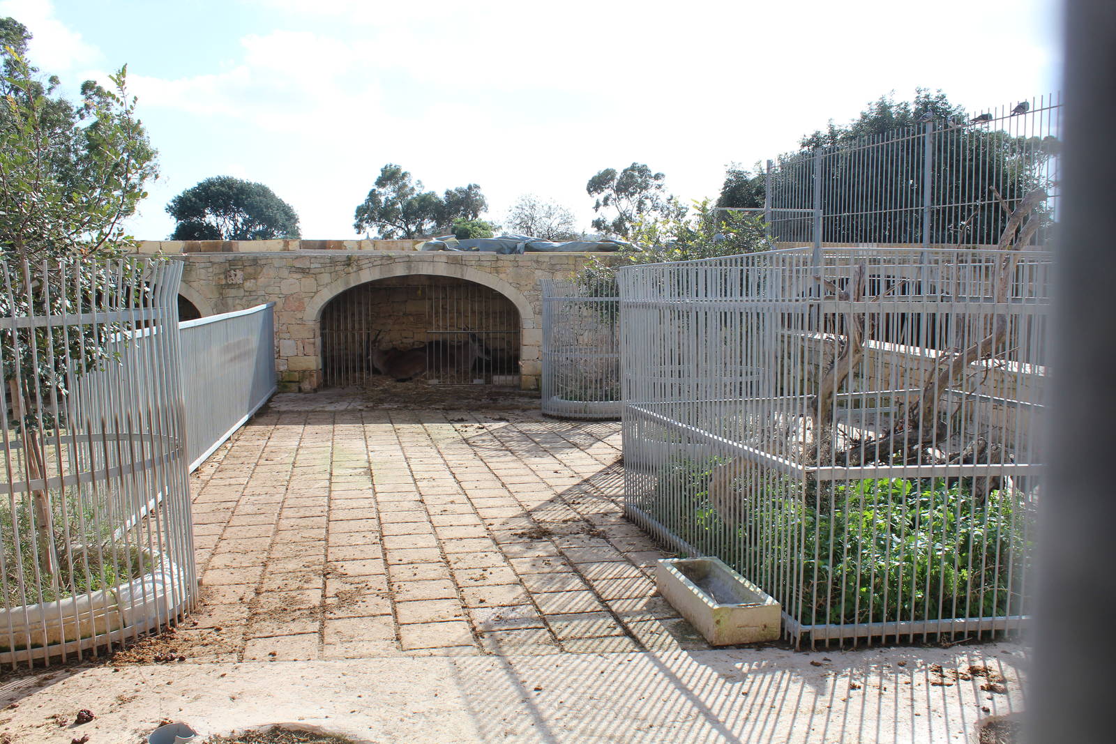 Eland Enclosure - MonteKristo Animal Park