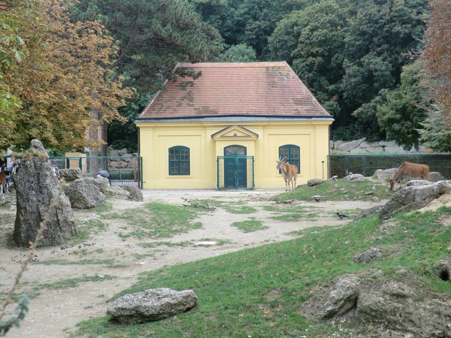 Eland enclosure October 2012